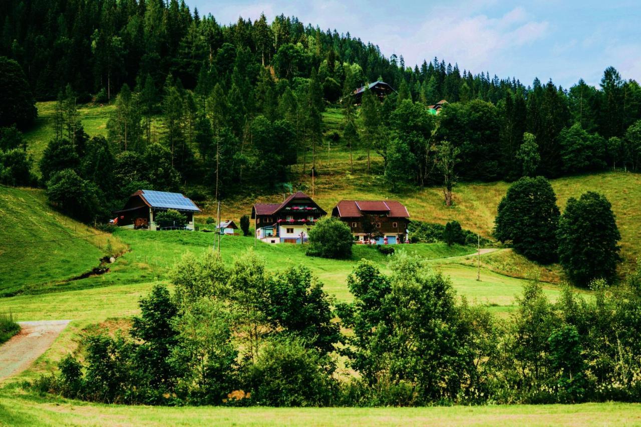 Appartement Vidmar-Wintertraum Arriach Luaran gambar